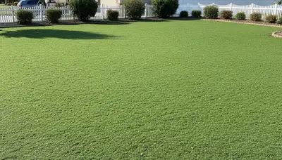 Fresh hydroseed layer evenly applied on prepared soil by professional landscapers in Modesto, CA